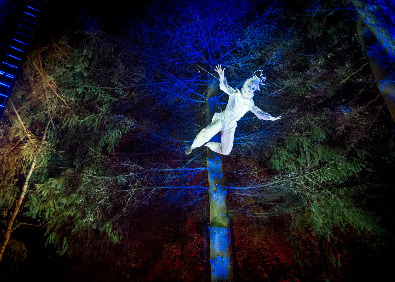 Enchanted Forest