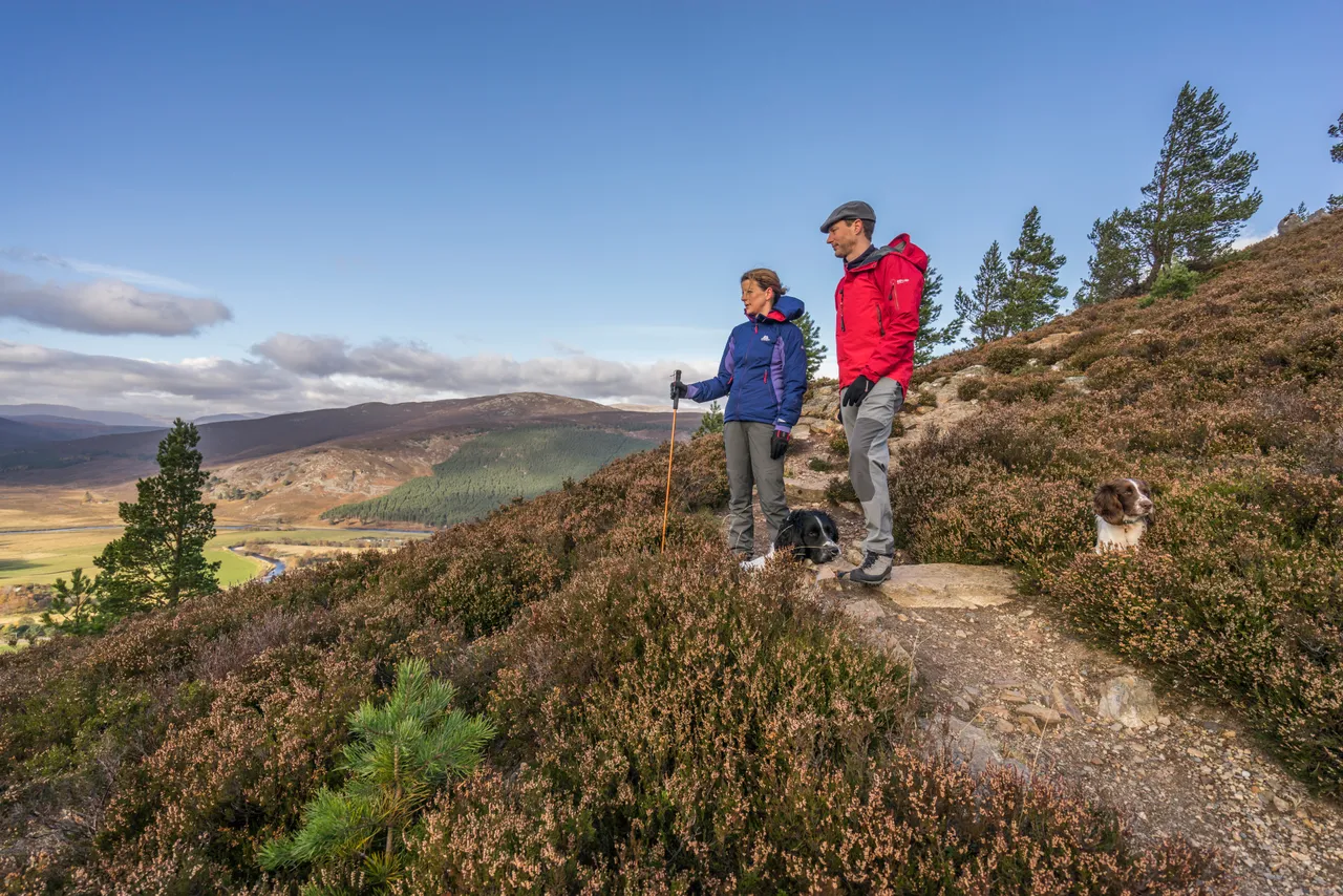 Braemar Hills