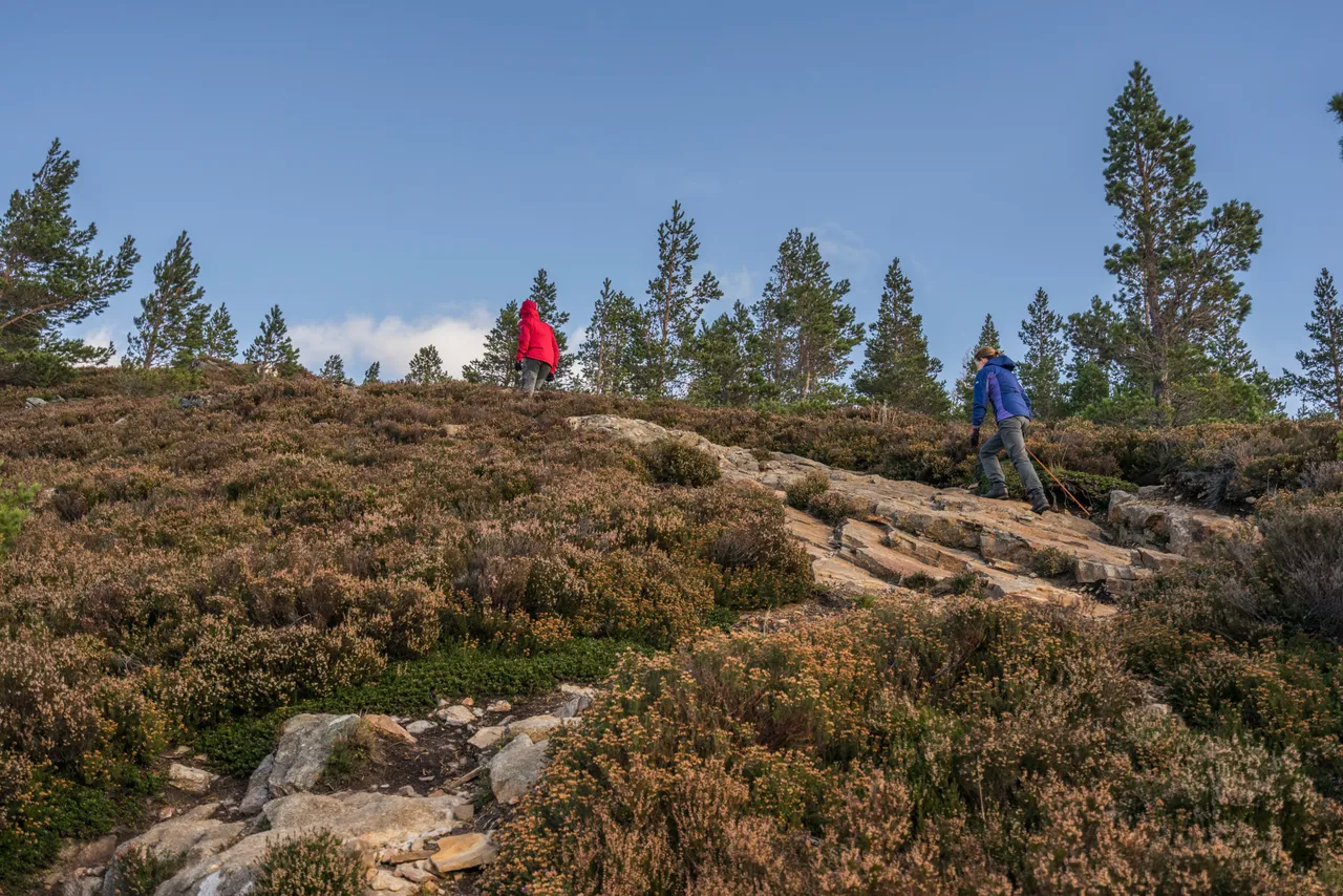 Braemar Hills