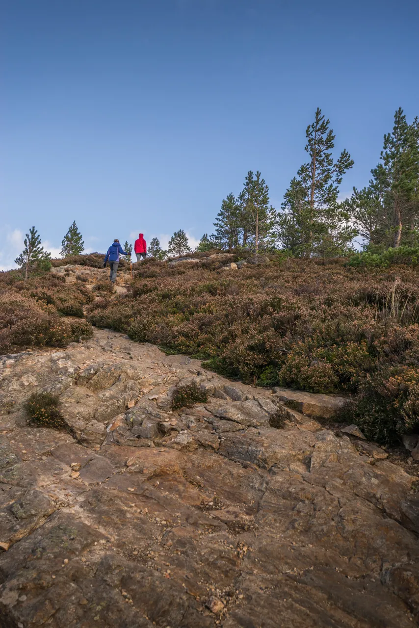 Braemar Hills