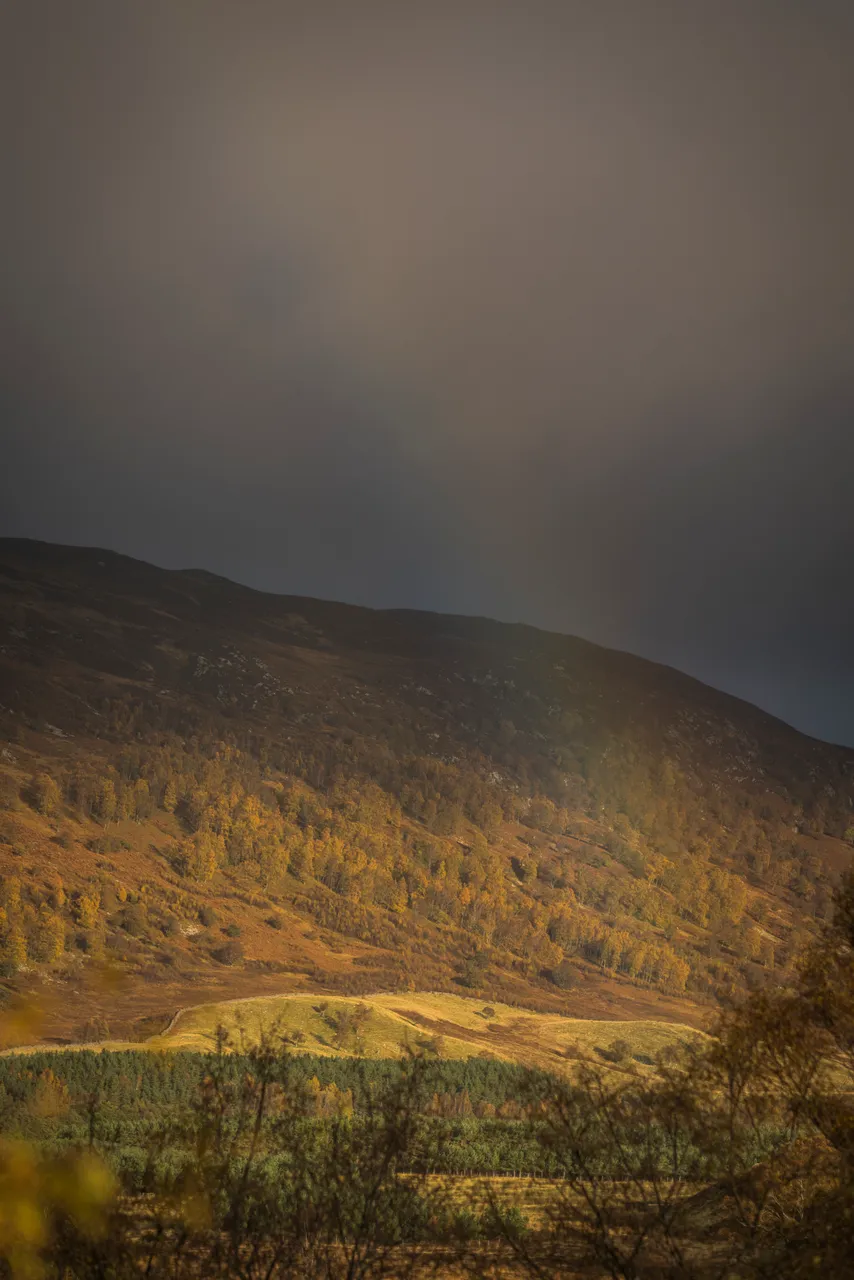 Newtonmore