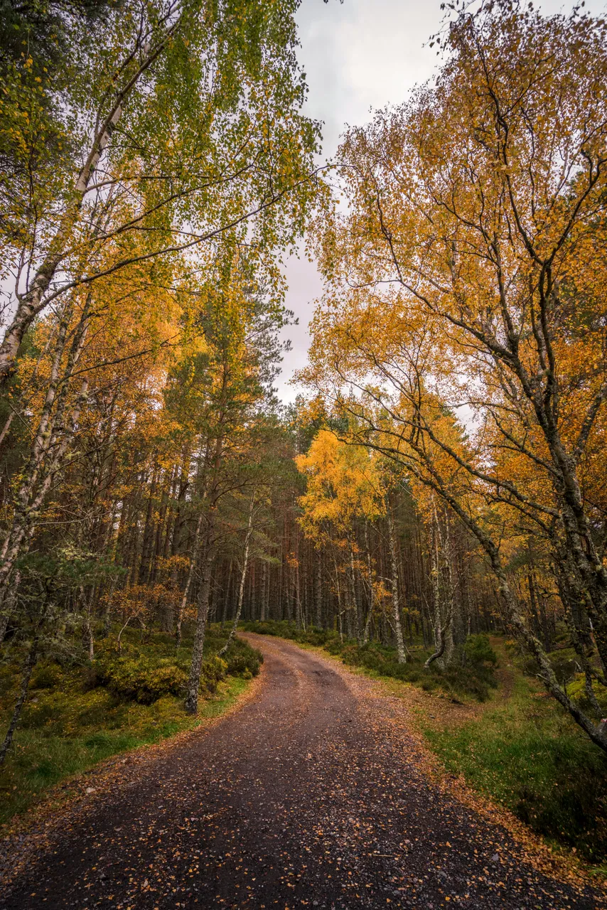 Loch Insh Outdoor Centre