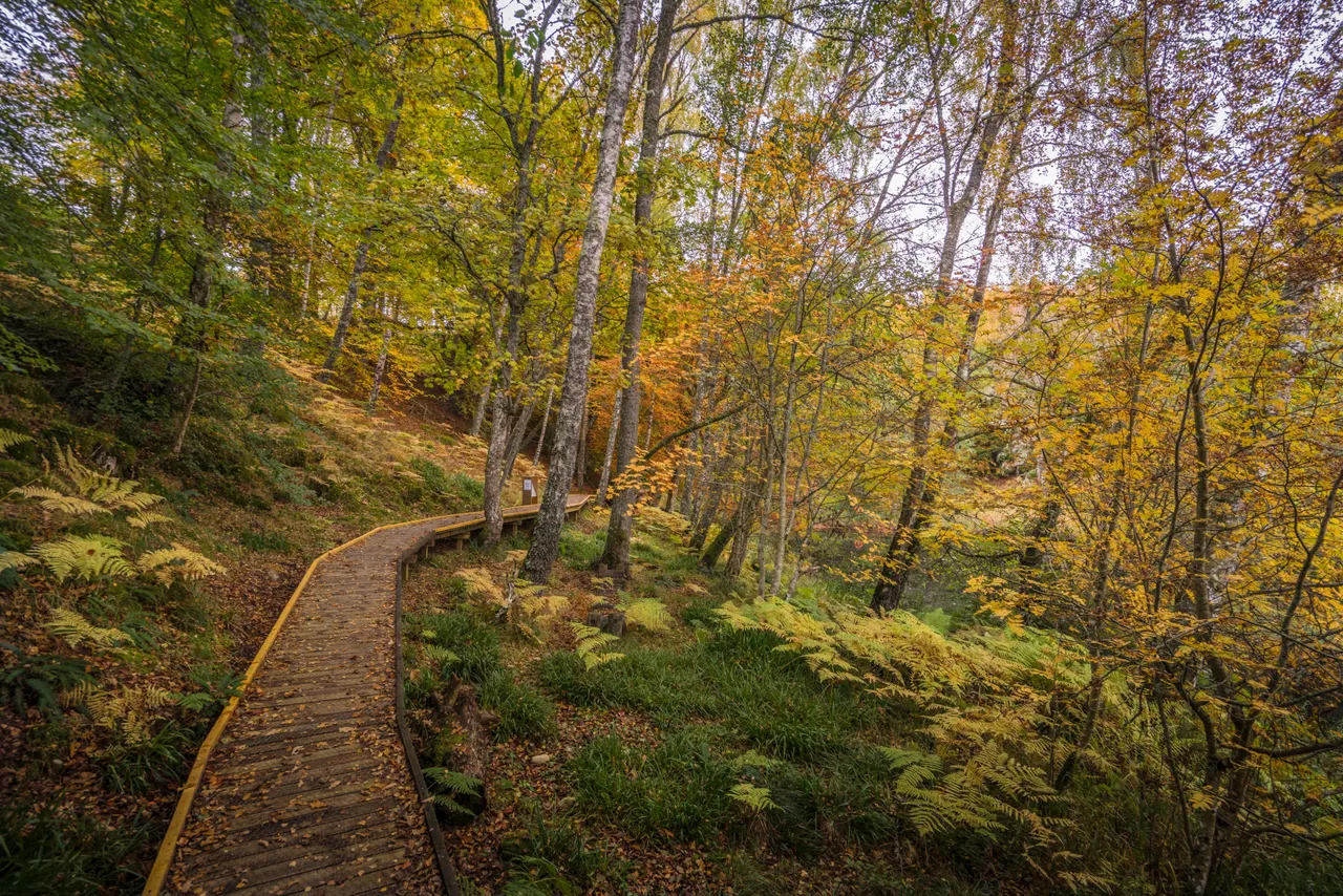 Loch Insh Outdoor Centre