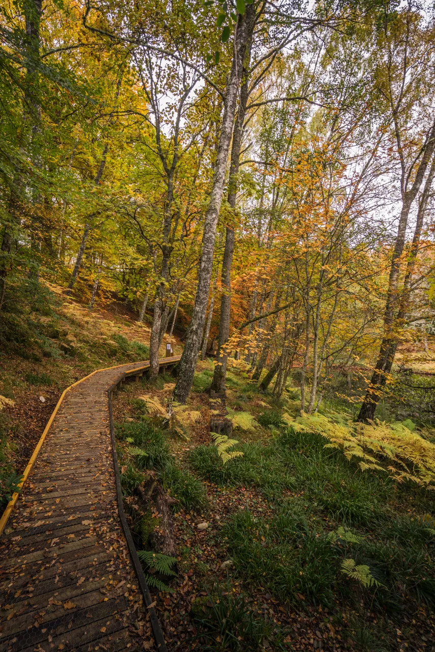 Loch Insh Outdoor Centre