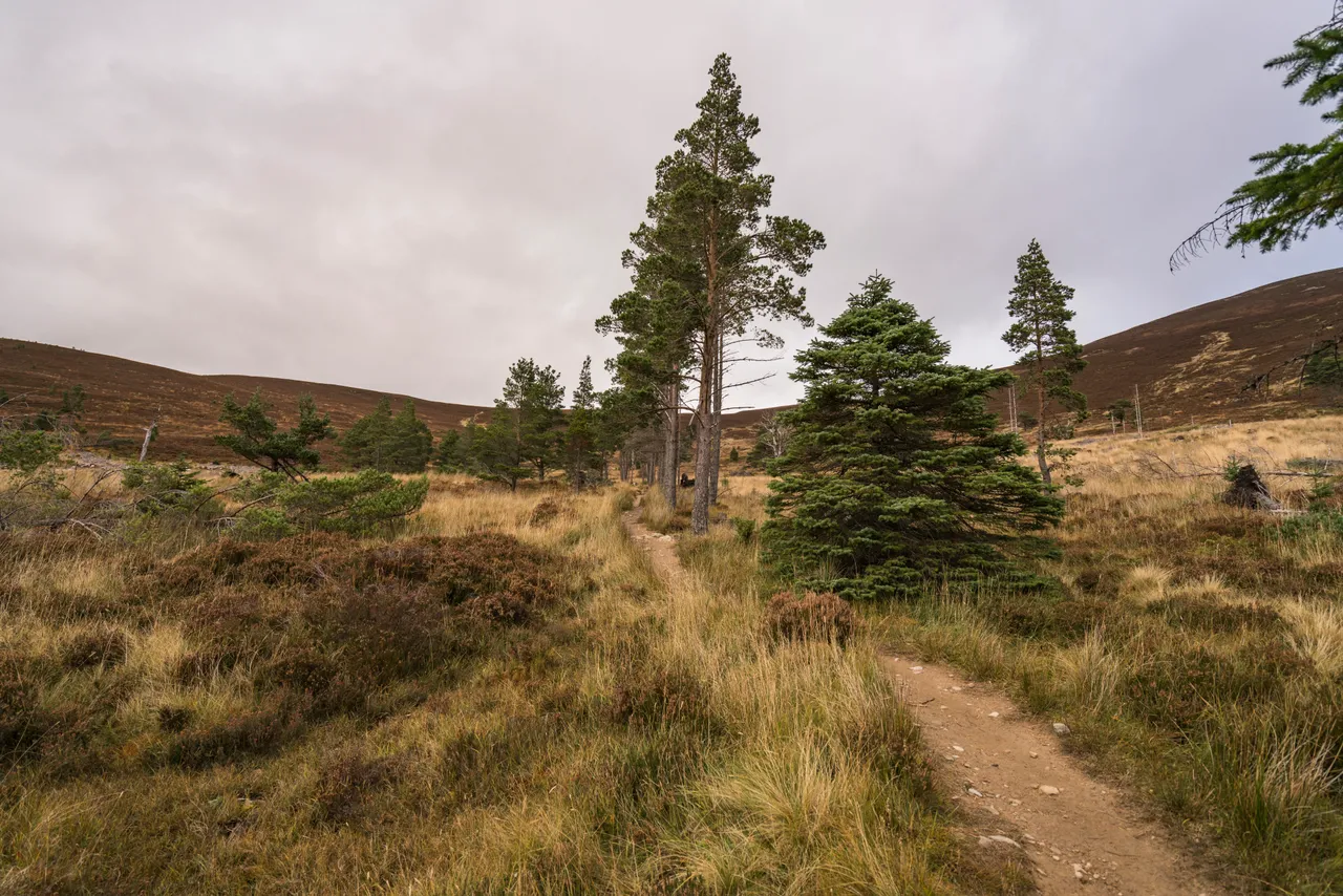 Cairngorms National Park