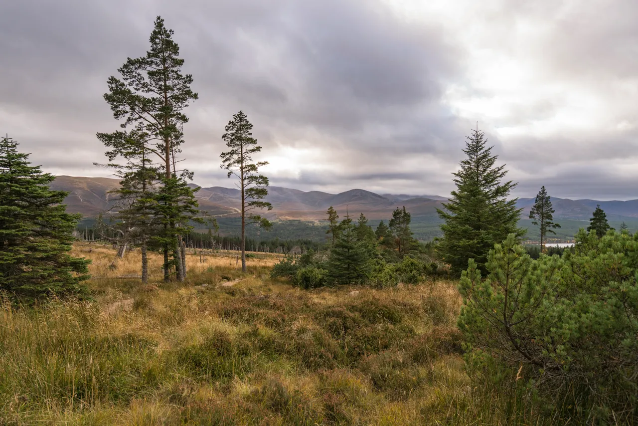 Cairngorms National Park