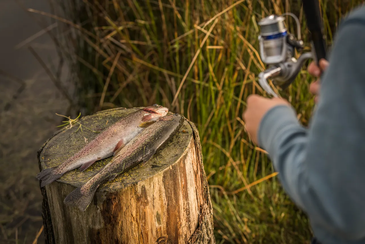 Tullich Fishery