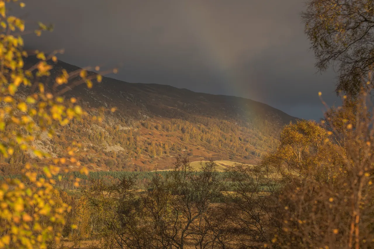 Meall a’ Bhuachaille