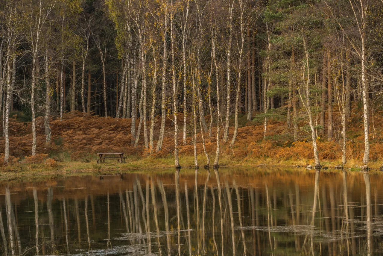 Mar Lodge Estate