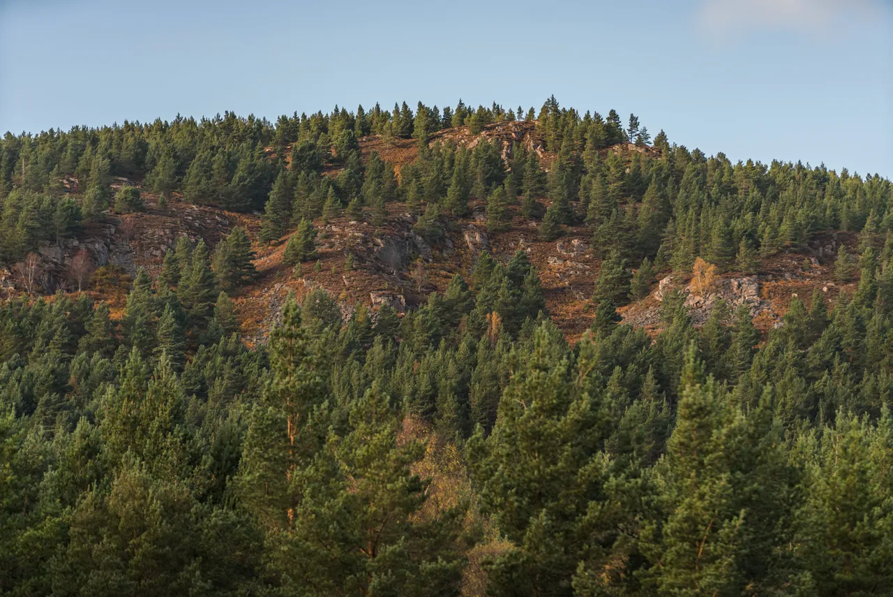 Mar Lodge Estate