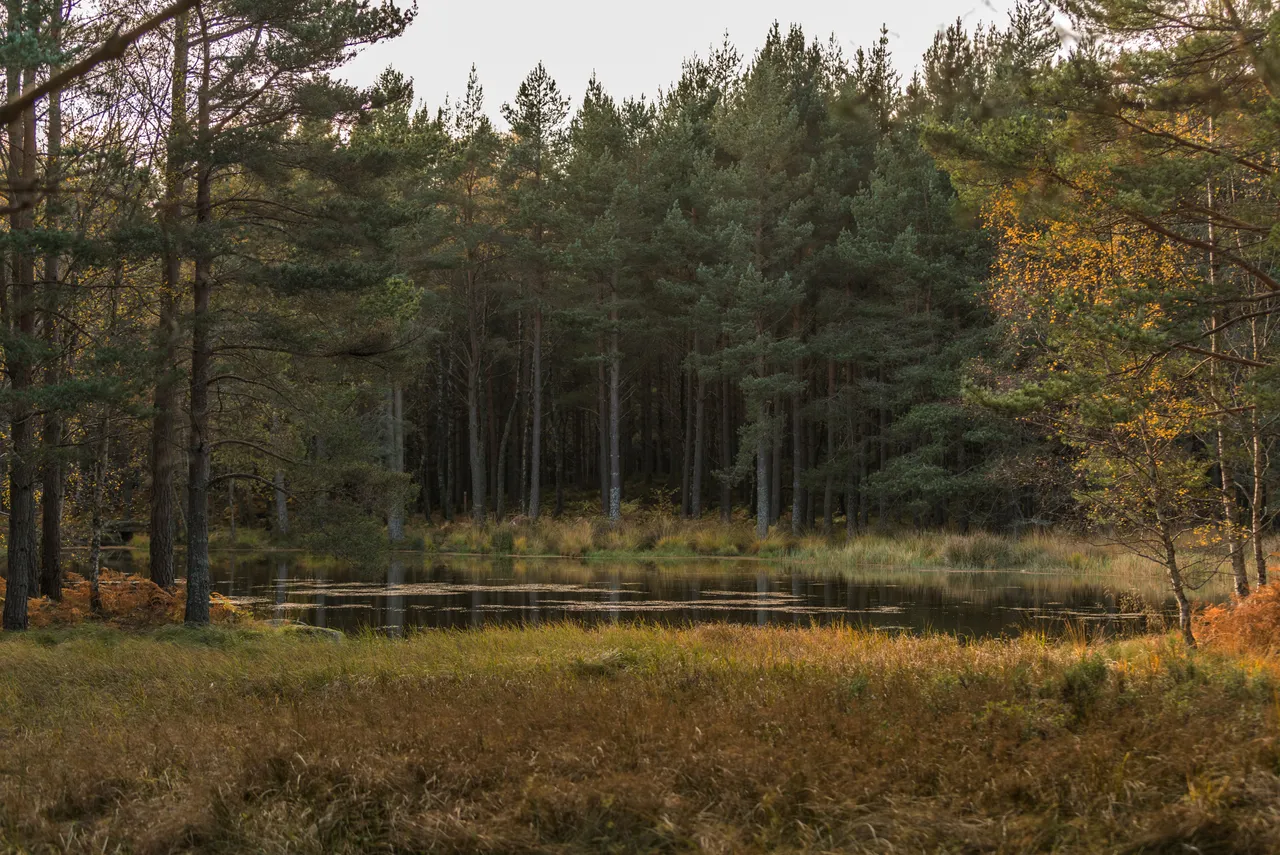 Mar Lodge Estate