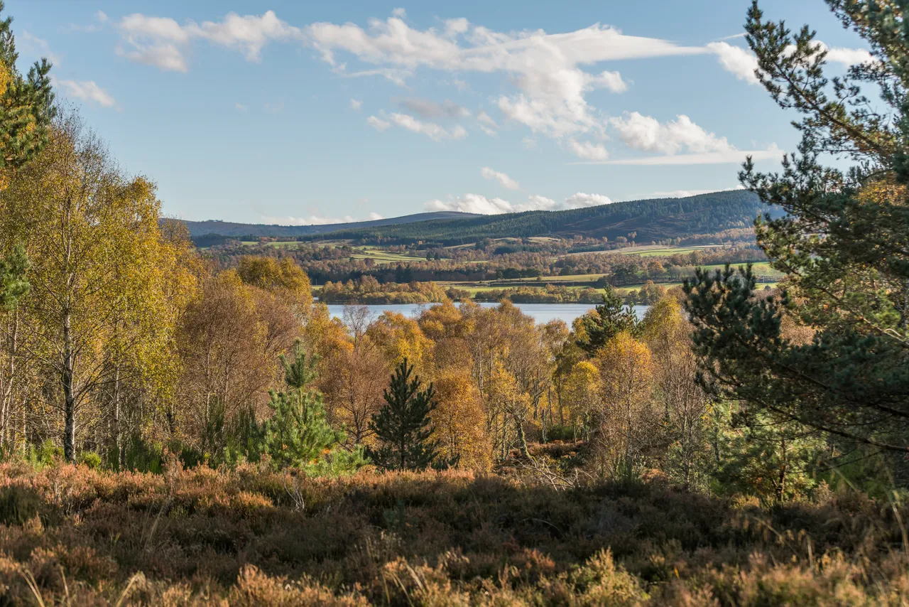 Deeside Way