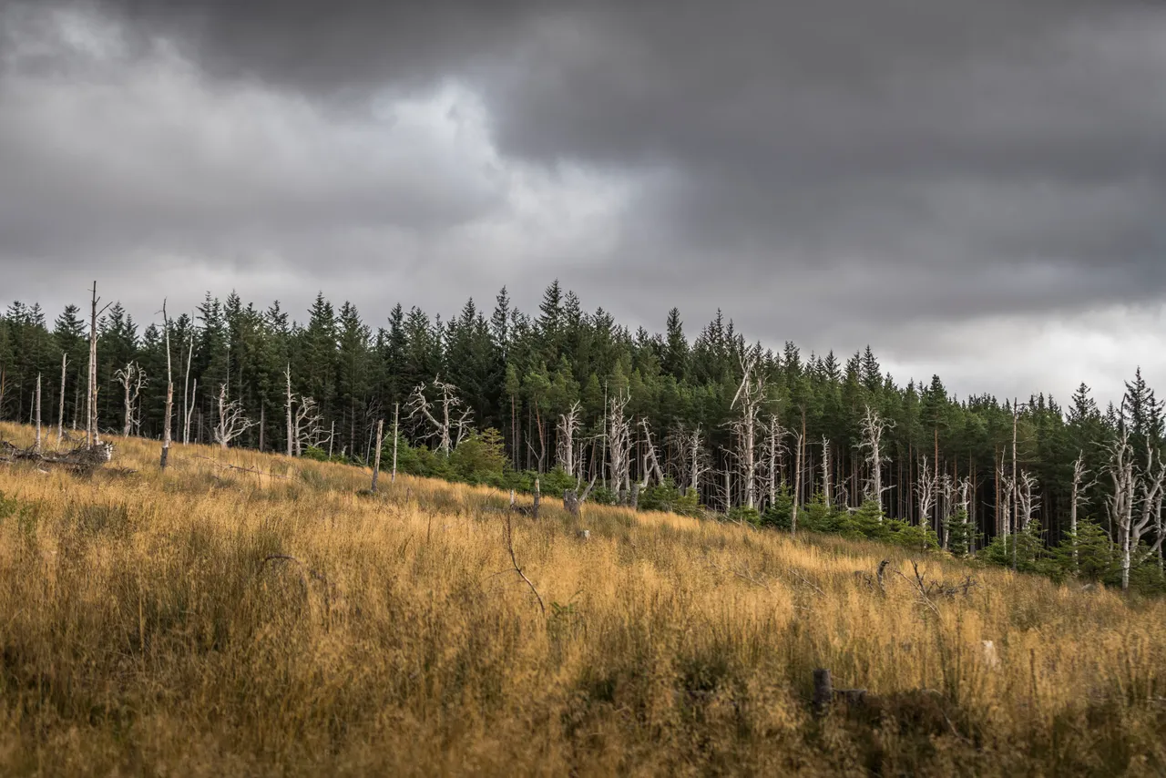Cairngorms National Park