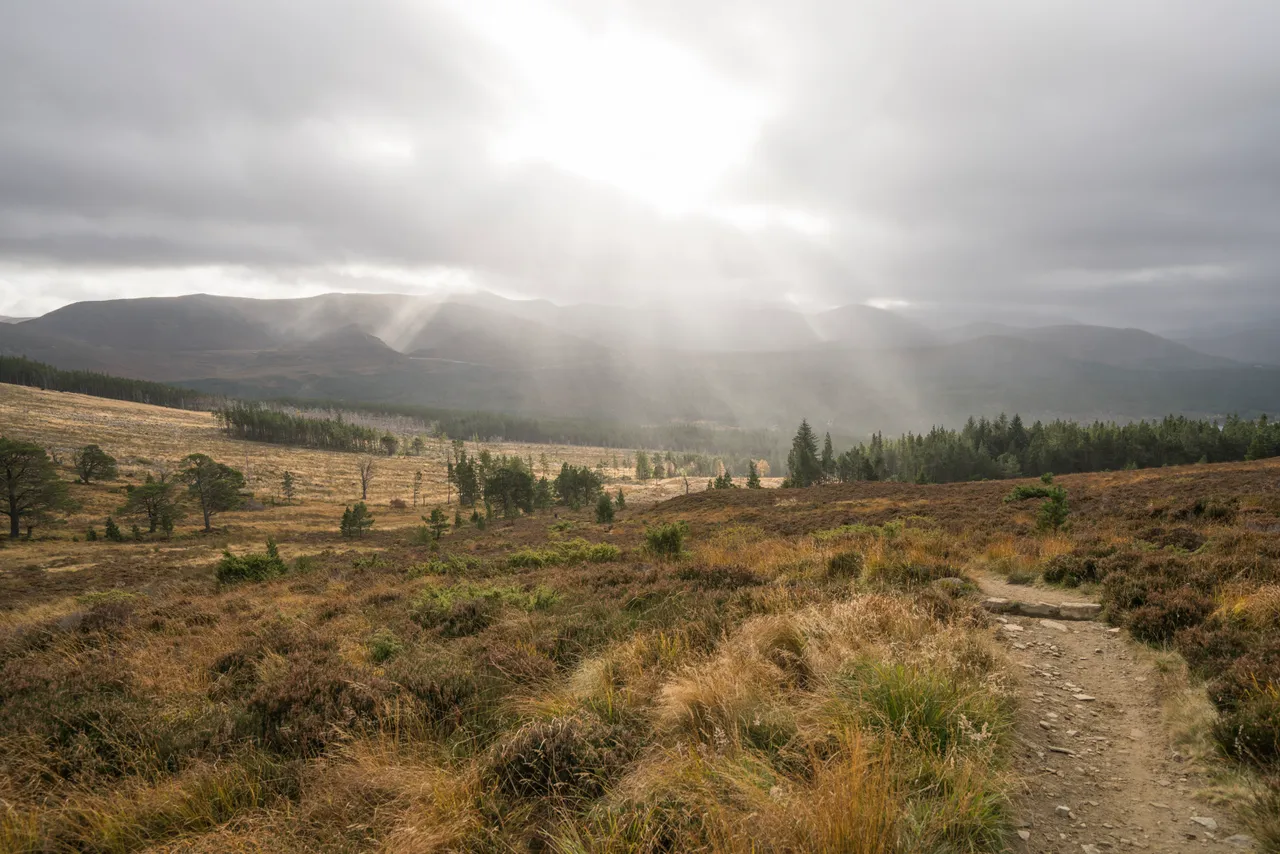 Meall a’ Bhuachaille