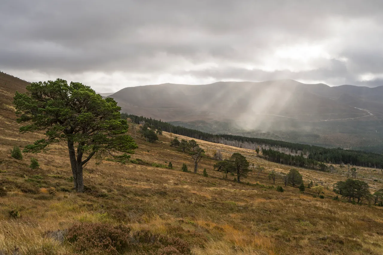 Meall a’ Bhuachaille