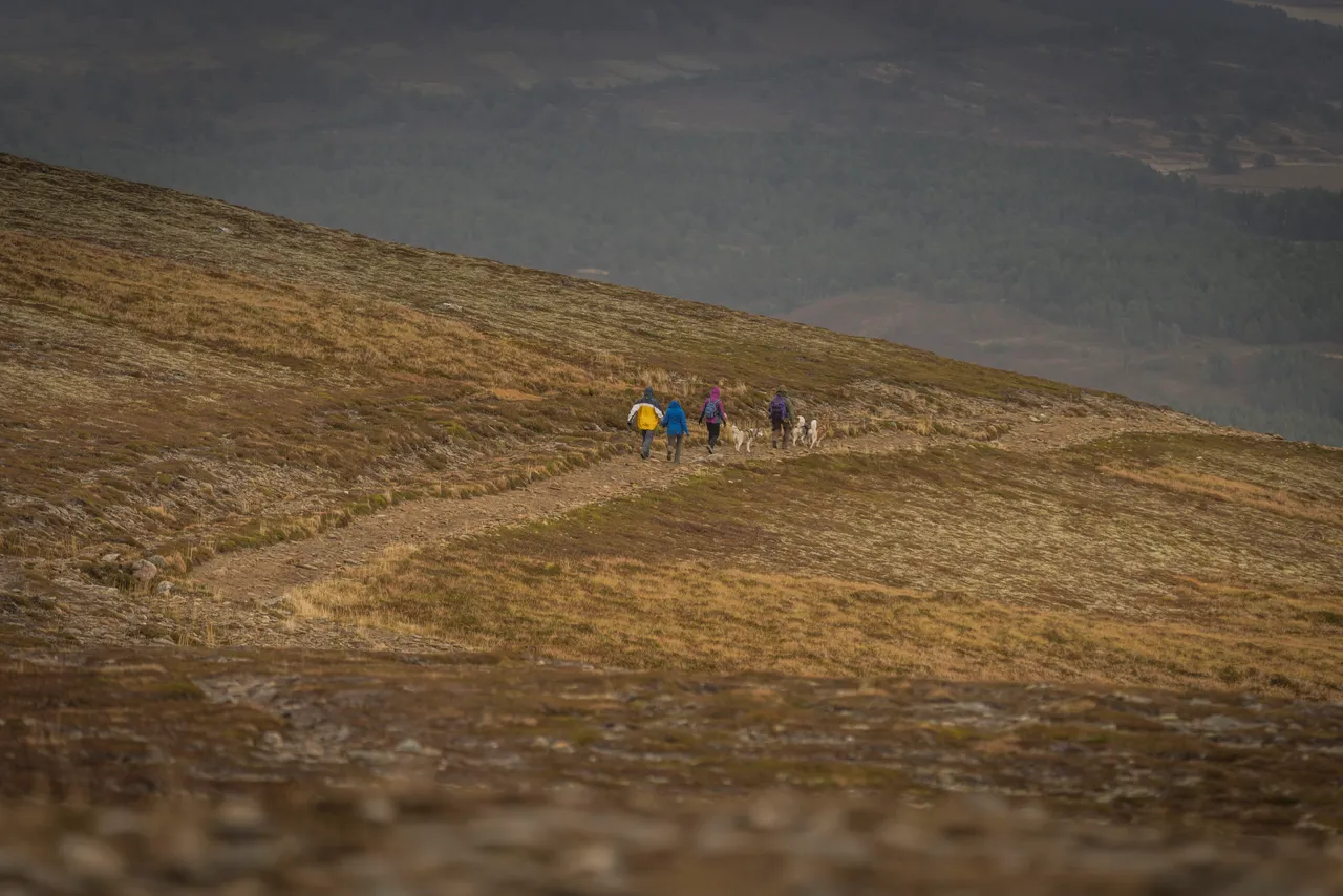 Meall a' Bhuachaille