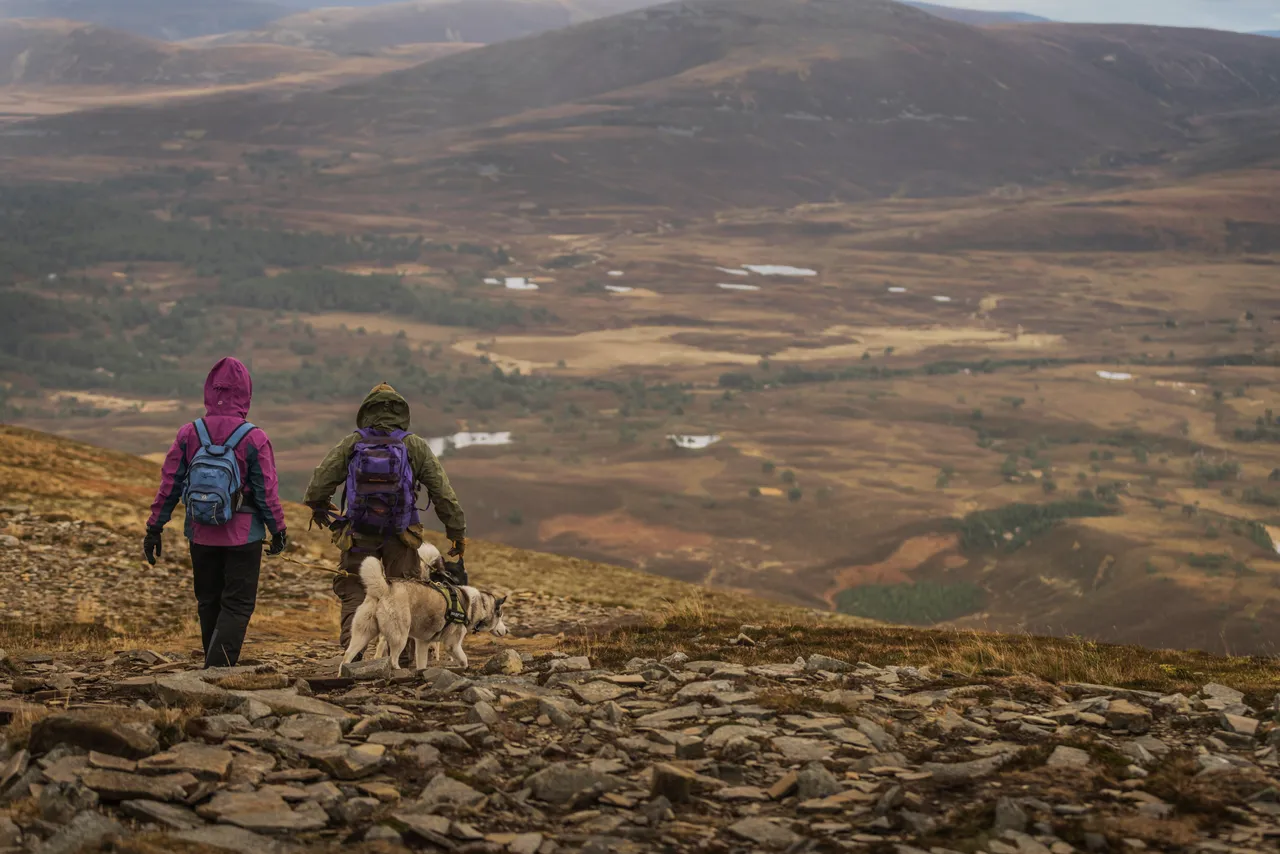Meall a' Bhuachaille