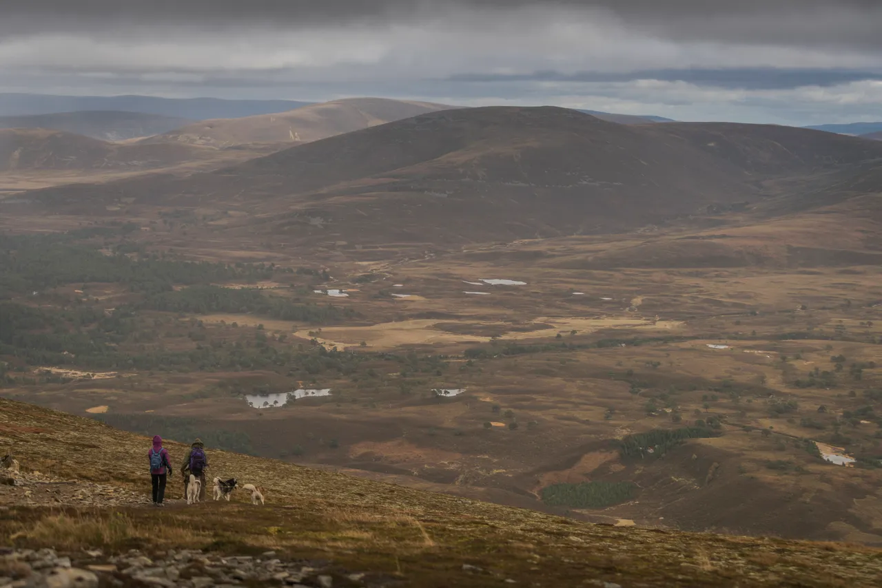 Meall a' Bhuachaille