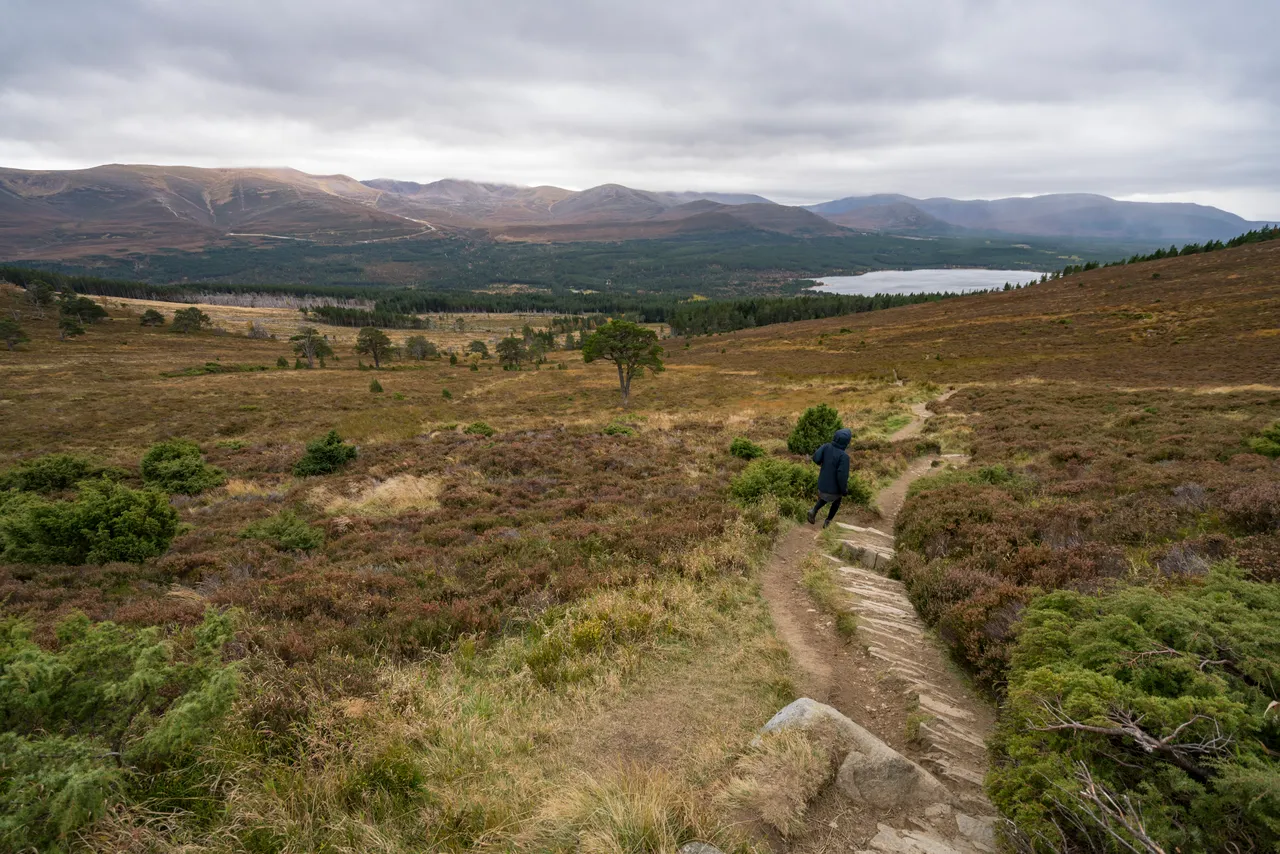 Meall a’ Bhuachaille