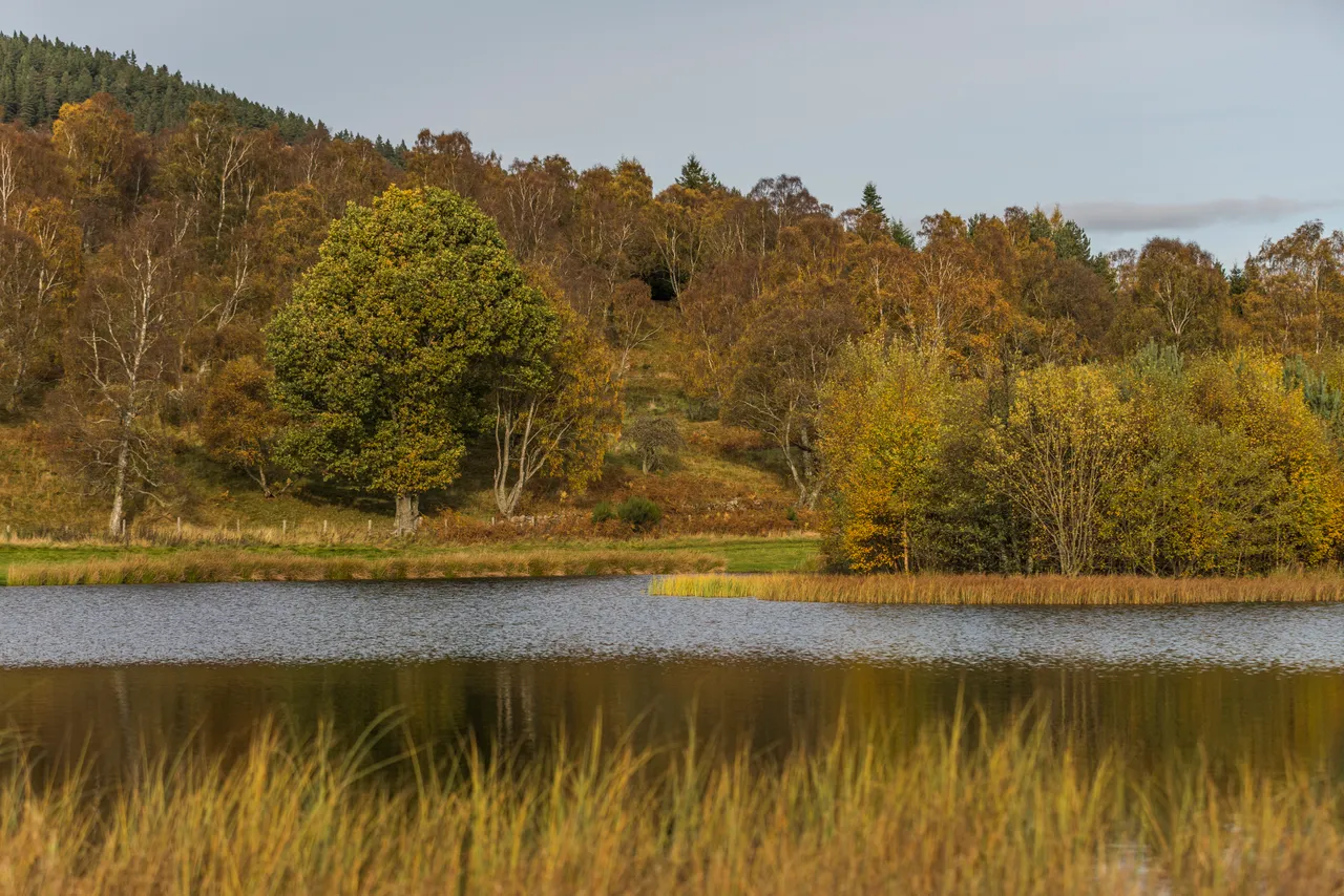 Deeside Way