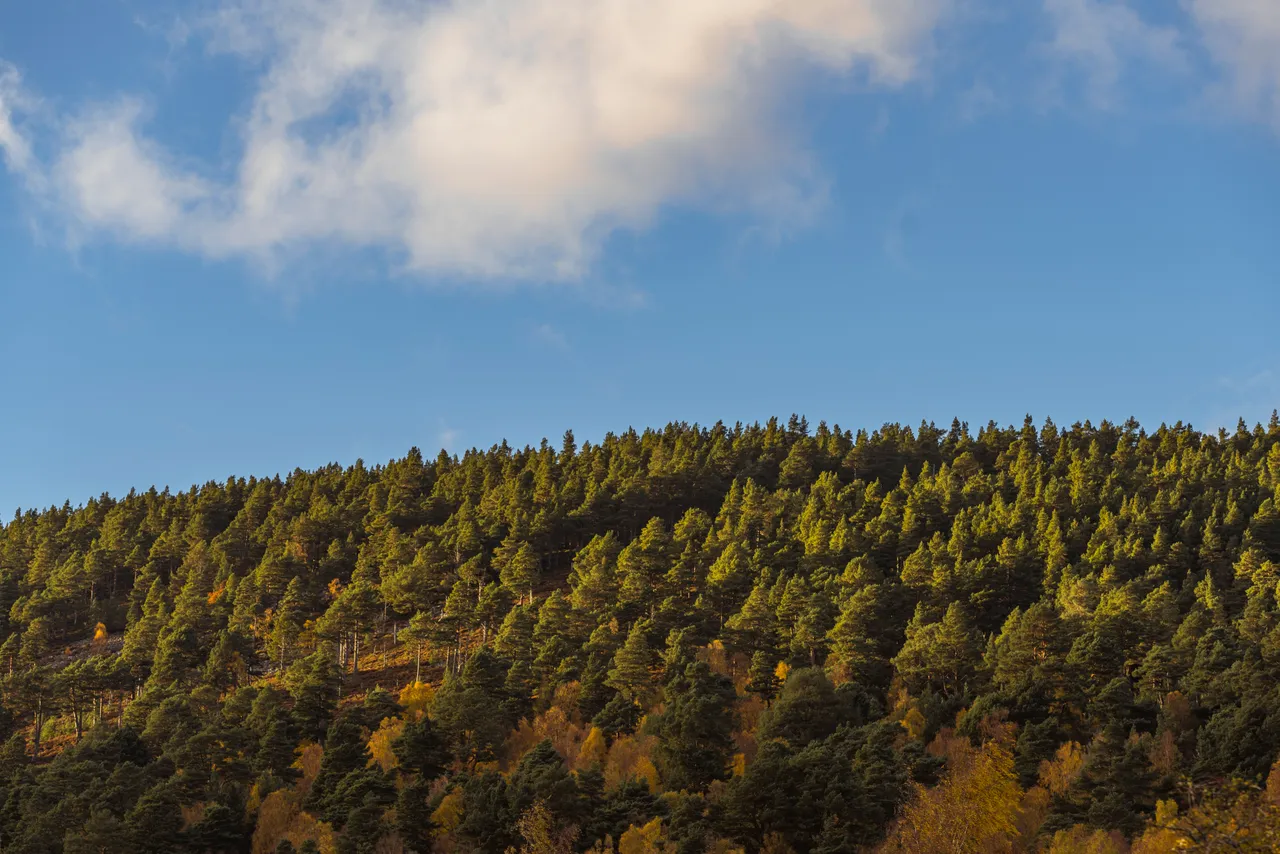 Cairngorms National Park
