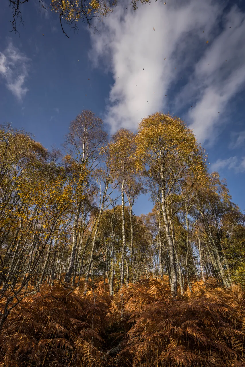Deeside Way