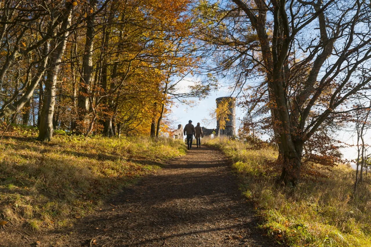 Kinnoull Hill Woodland Park