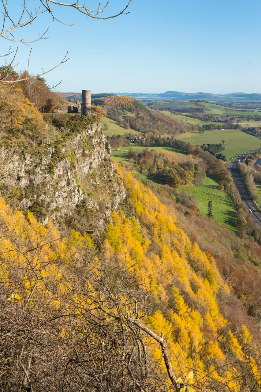 Kinnoull Hill Woodland Park