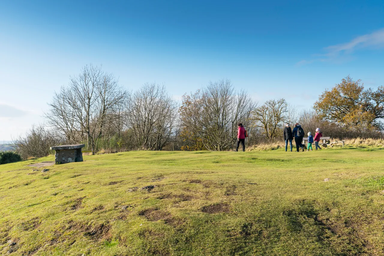 Kinnoull Hill Woodland Park