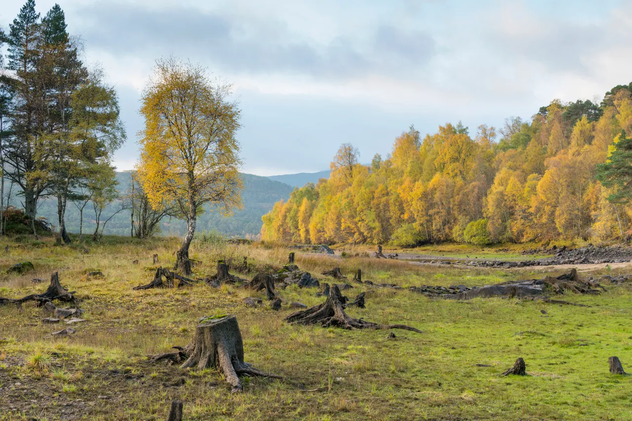 Loch Beinn a Mheadhoin