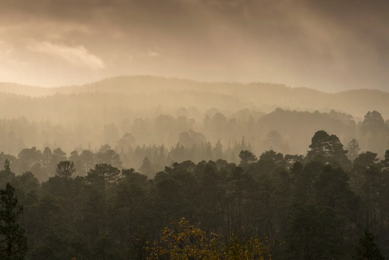 Glen Affric