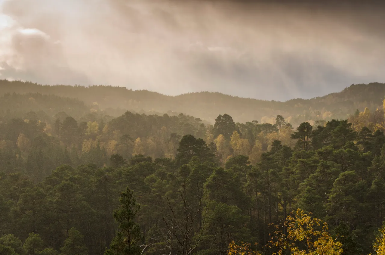 Glen Affric