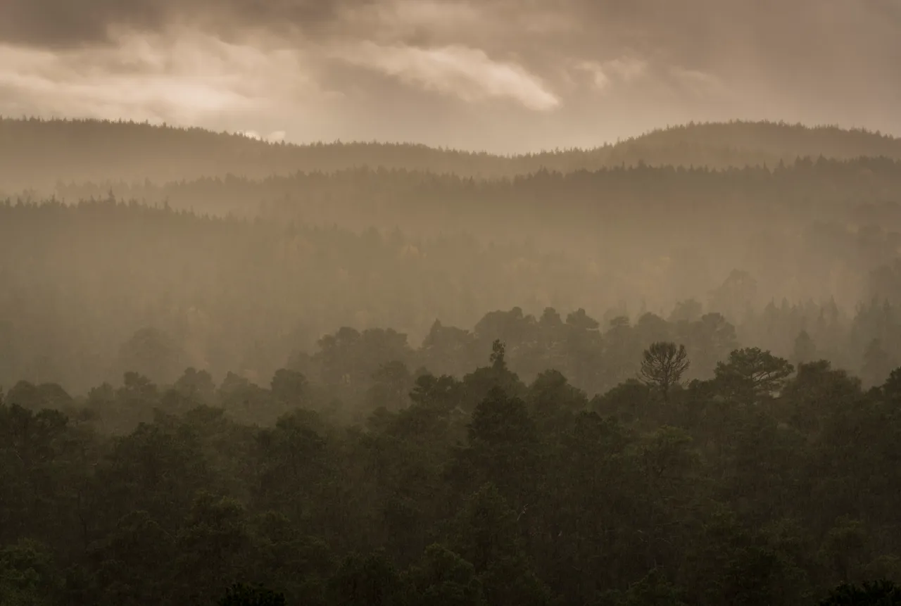 Glen Affric