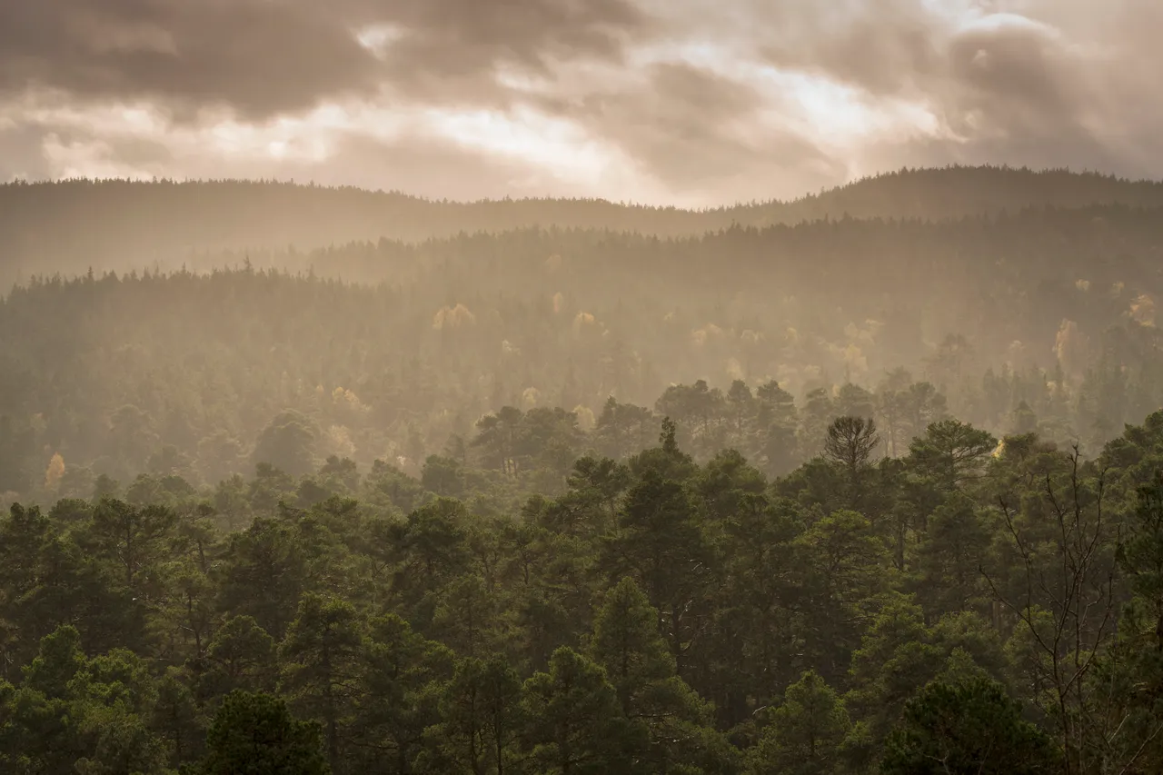 Glen Affric