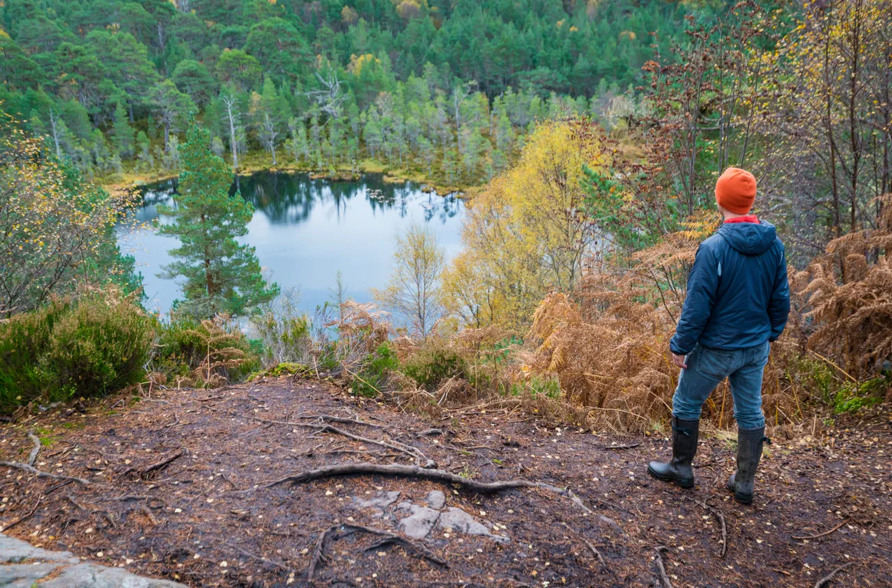 Glen Affric
