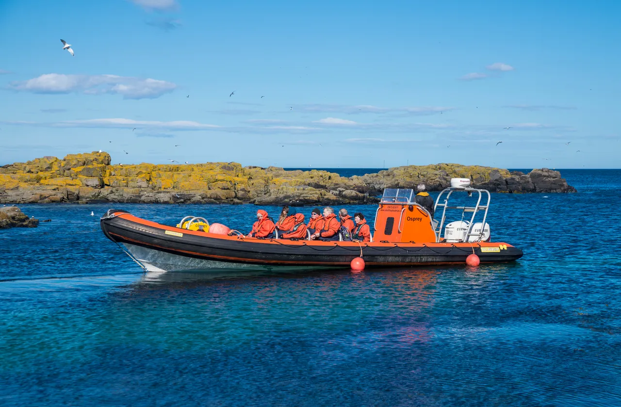 Isle of May National Nature Reserve