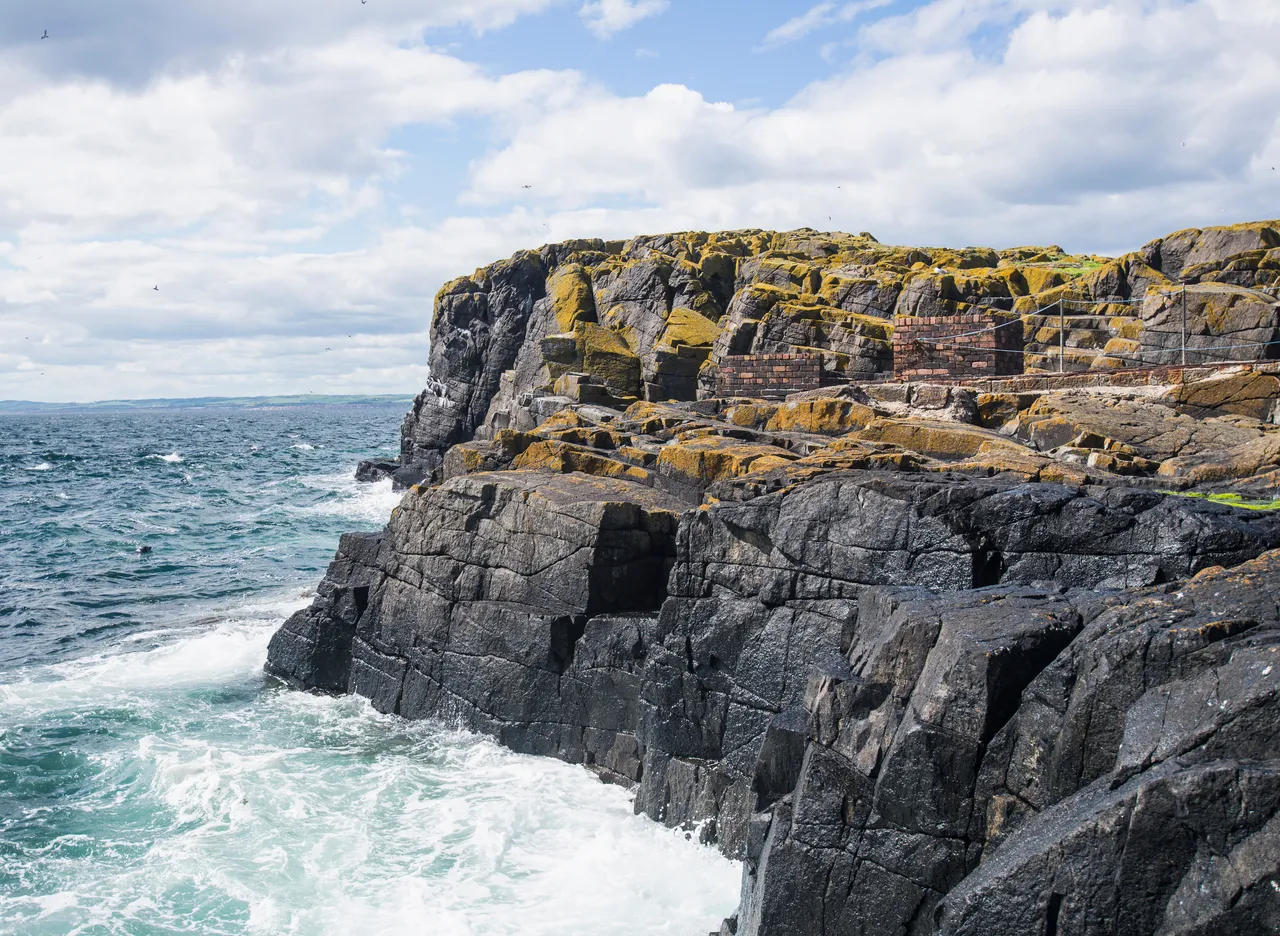 Isle of May