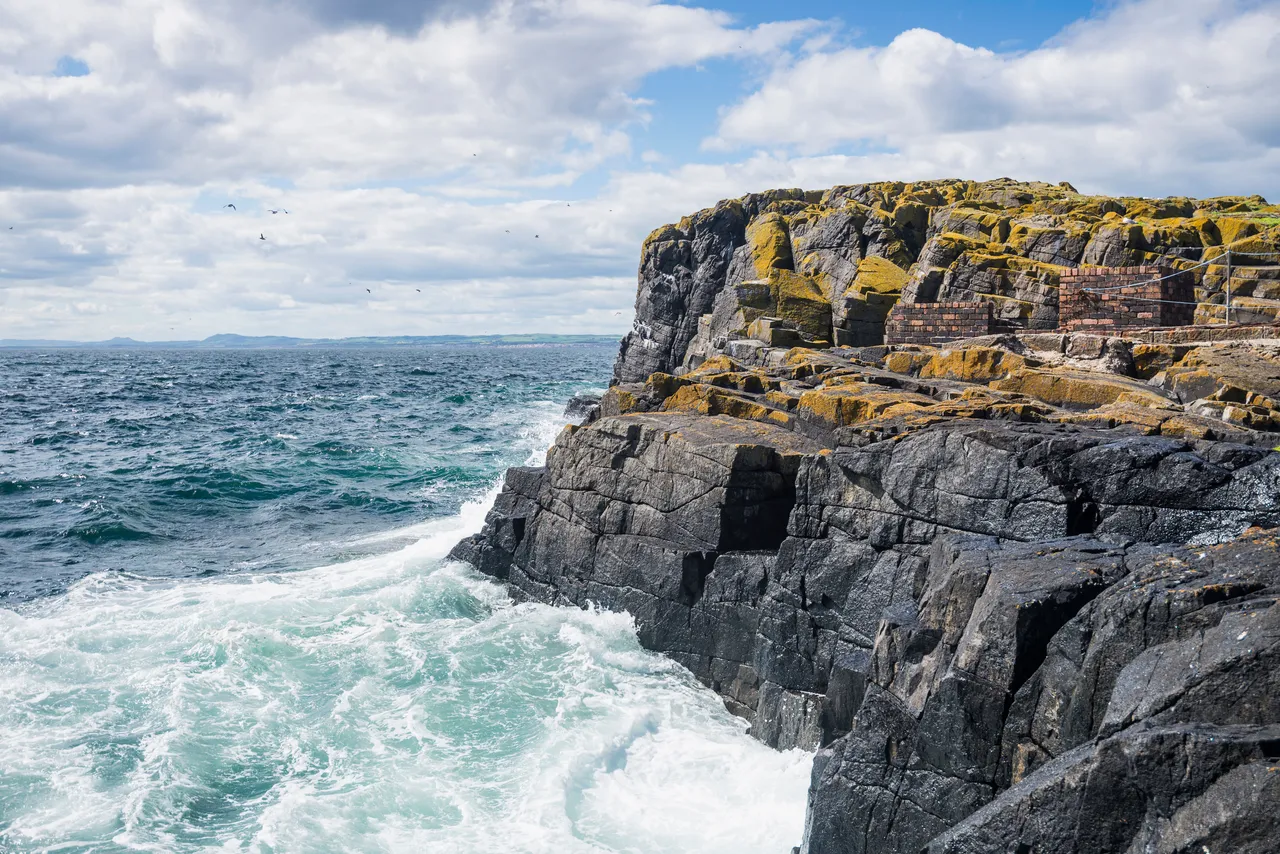 Isle of May