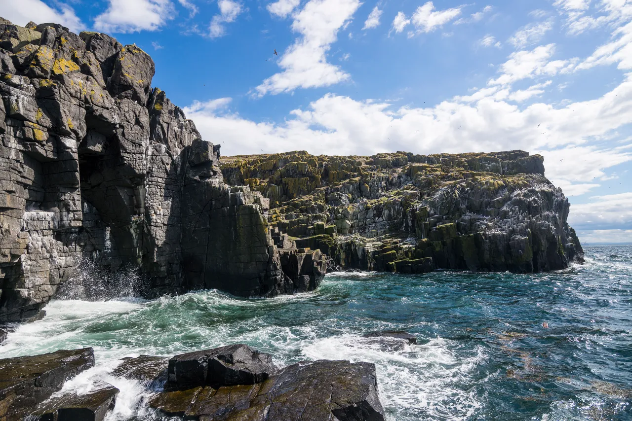 Isle of May