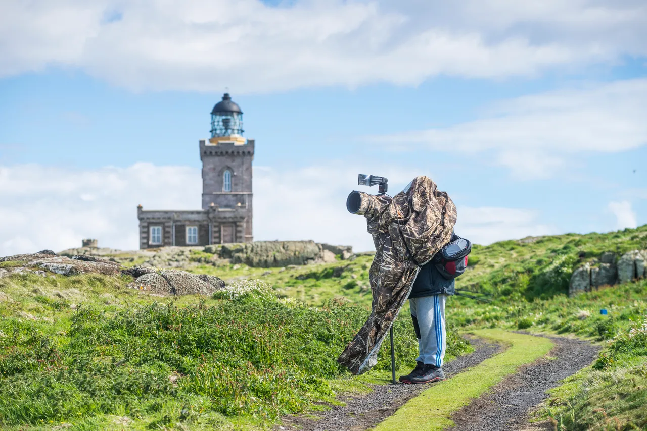 Birdwatching on the Isle of May