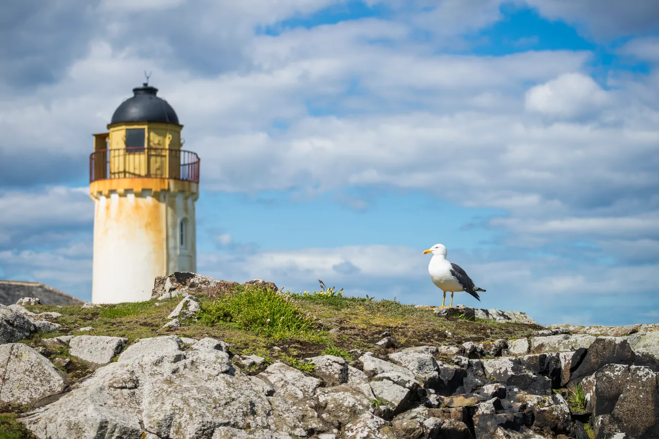 Isle of May