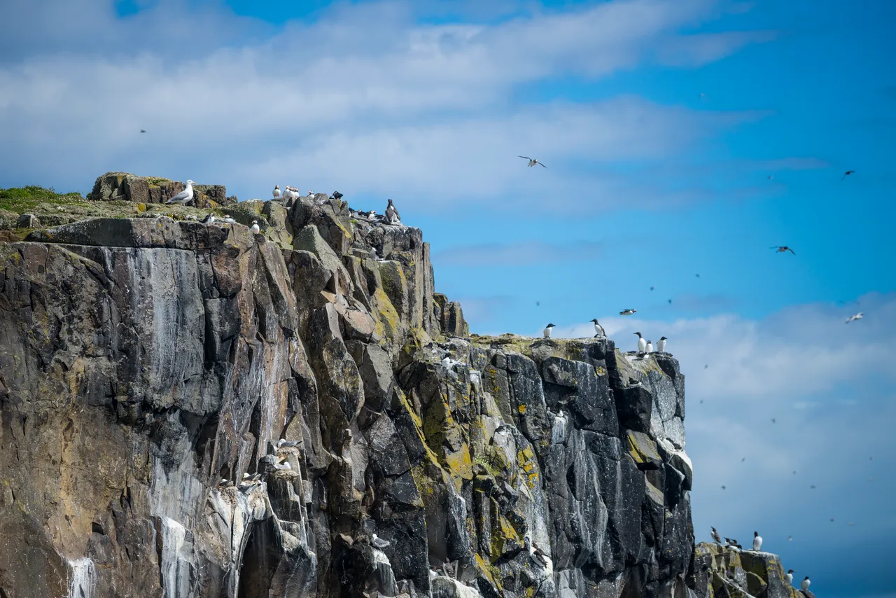 Isle of May