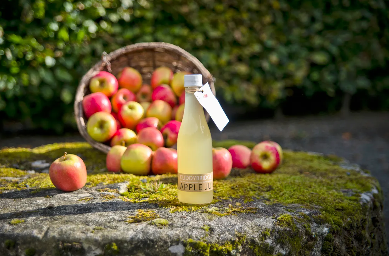 Cuddybridge Apple Juice