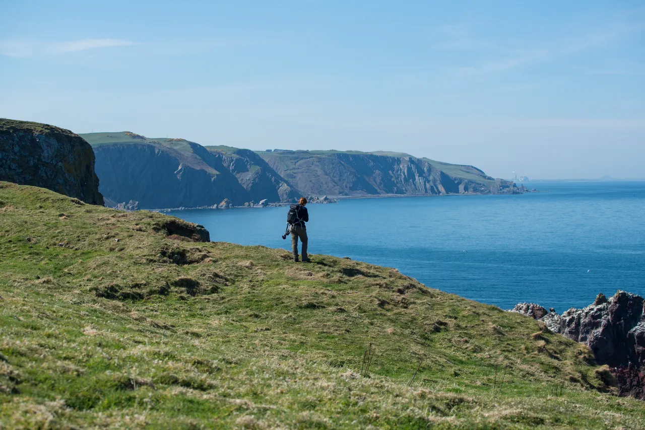 Birdwatching at St Abbs Head