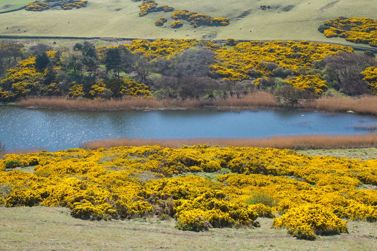 Mire Loch