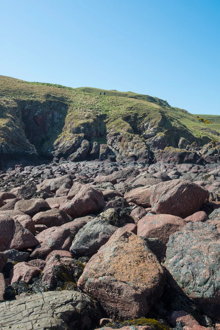 St Abb’s Head Cove