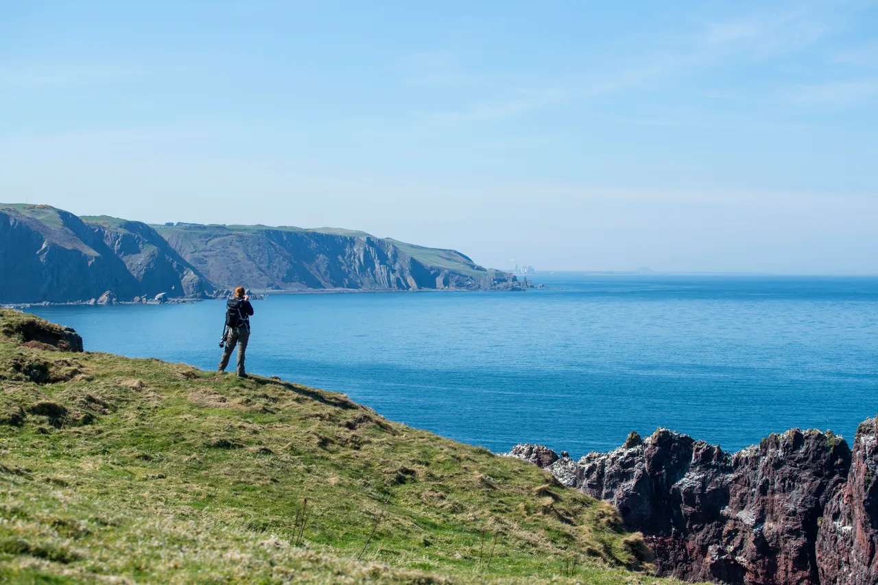 Birdwatching at St Abbs Head