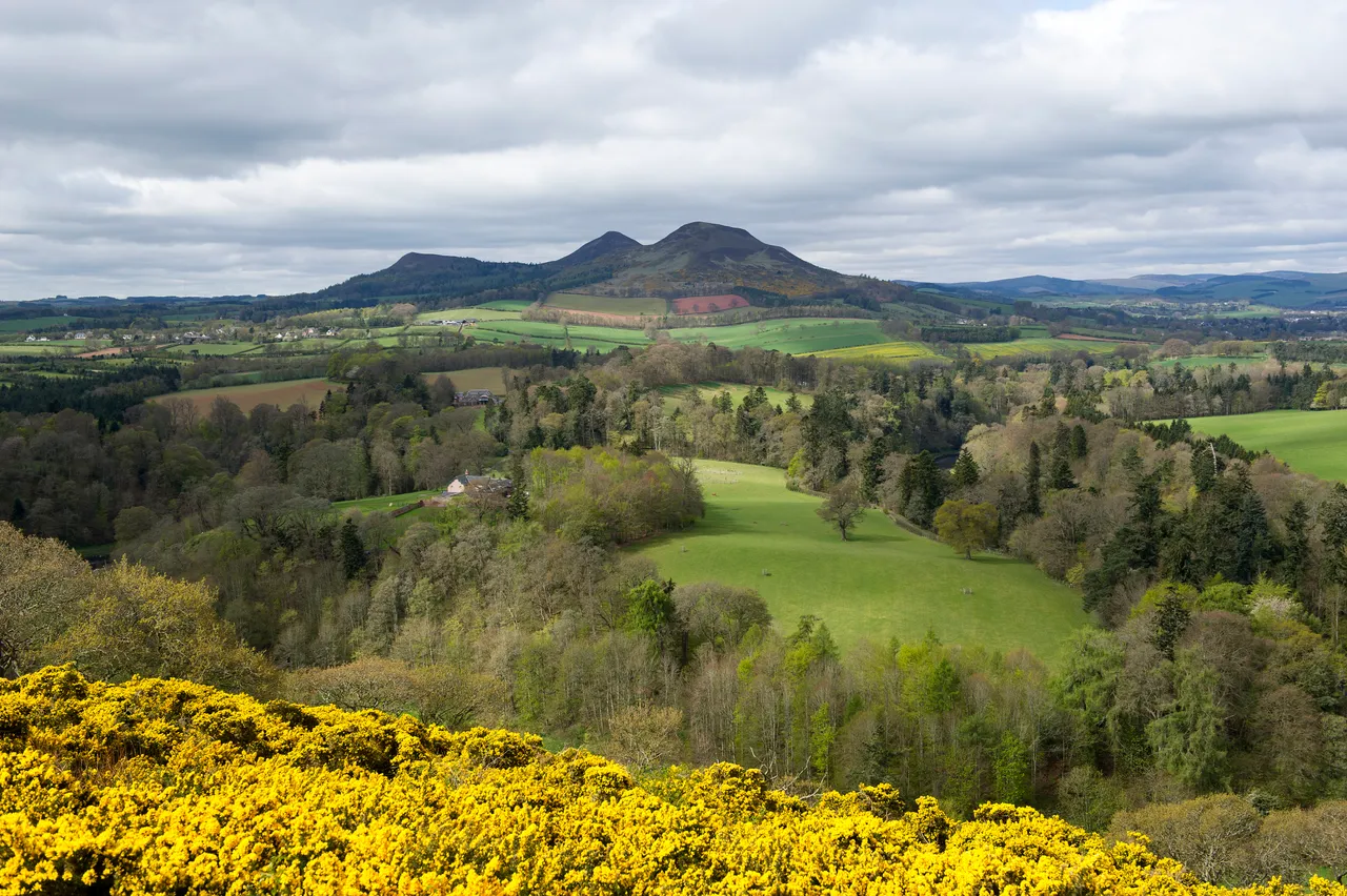 Scott’s View