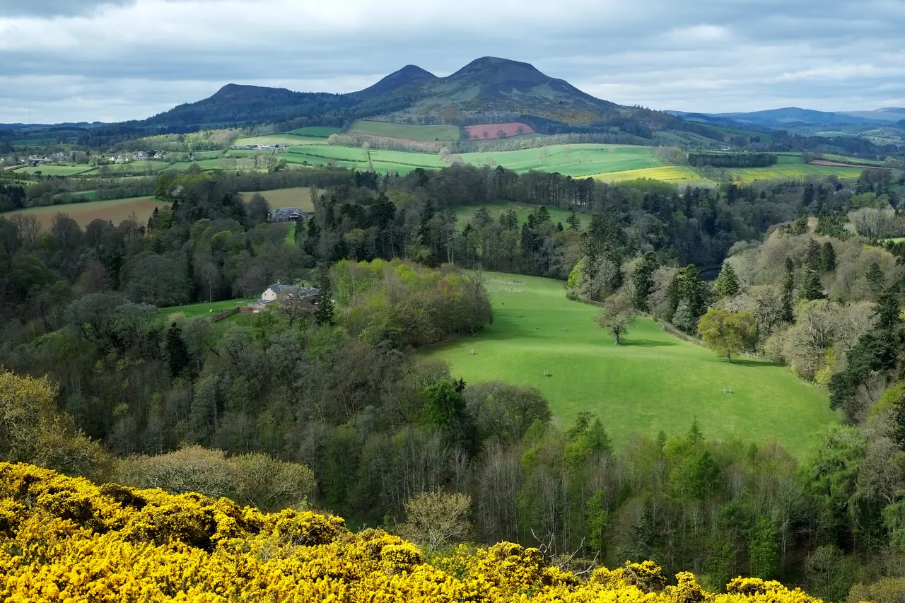 Scott’s View