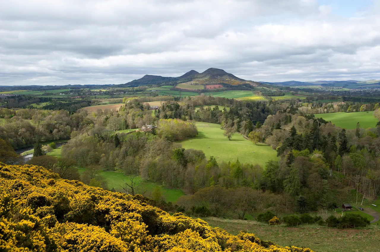 Scott’s View